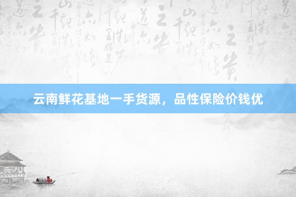 云南鲜花基地一手货源，品性保险价钱优