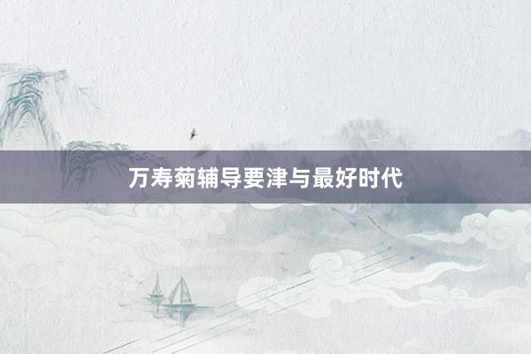 万寿菊辅导要津与最好时代
