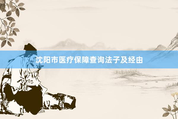 沈阳市医疗保障查询法子及经由