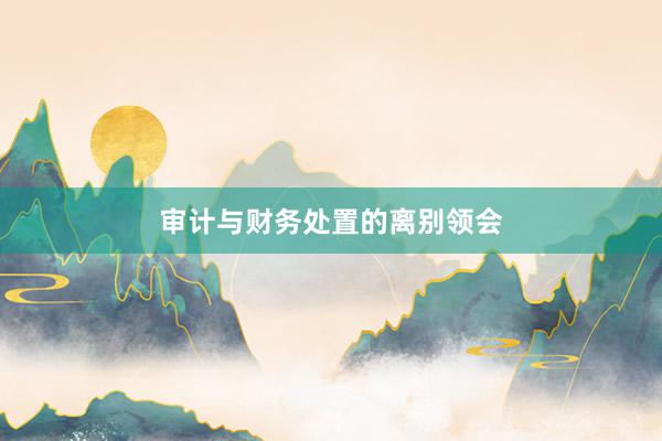 审计与财务处置的离别领会